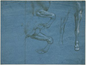 Studies van de voorbenen van het paard, c. 1490 door Leonardo da Vinci